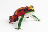 Frog; medium; red with yellow, green, blue. purple stripes