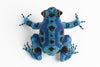 Frog; medium; blue, bright blue, black