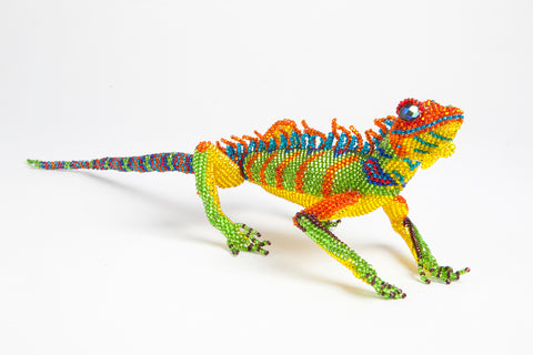 Lizard: large; orange, yellow, green, blue