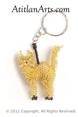 Cat, walking gold [Animals, Domestic]