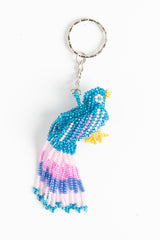 Fringe-tail Bird; bright blue, pastel pink, blue, yellow