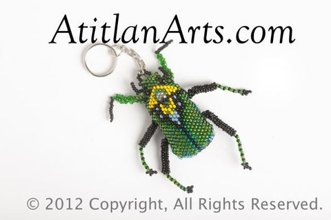 Beetle, large green; black [Insects]